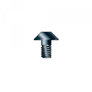 Trend RT/3.5 Torx screw M3.5 x 5mm 0.6mm 6mm head