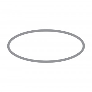 TREND WP-T35/031 CAGE GASKET T35