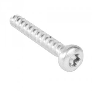 Trend WP-T5/026A Screw self tapping 4 x 25mm T5 v2