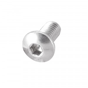 TREND WP-DGP/10 MACHINE SCREW PAN M5 X 10 MM SOCKET