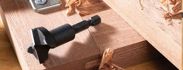 Circular hinge drill bit for recessing wood