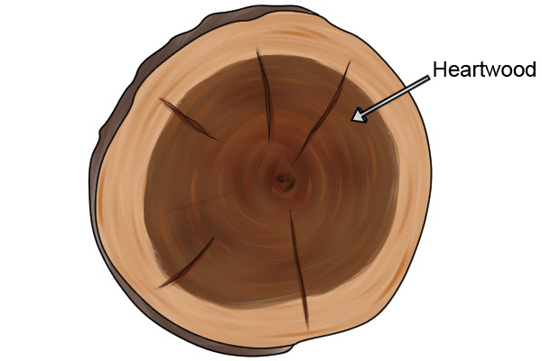 Heartwood is the wood at the centre of a tree