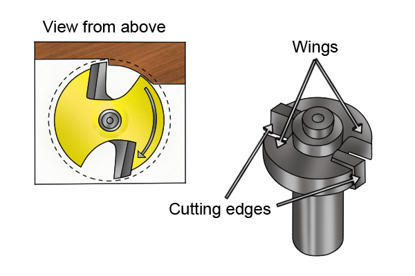 View from above, wings and cutting edges highlighted 