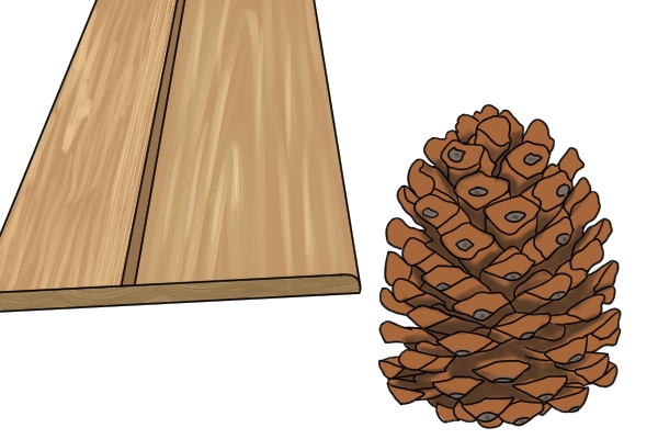 Image showing that PTFE coated router bits are ideal for use with soft, resinous woods such as pine